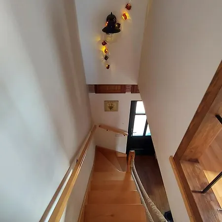 Titi Boutique Tatil Evi Bük