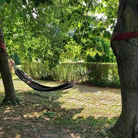 Tatil Evi Titi Boutique *