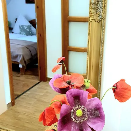 Titi Boutique