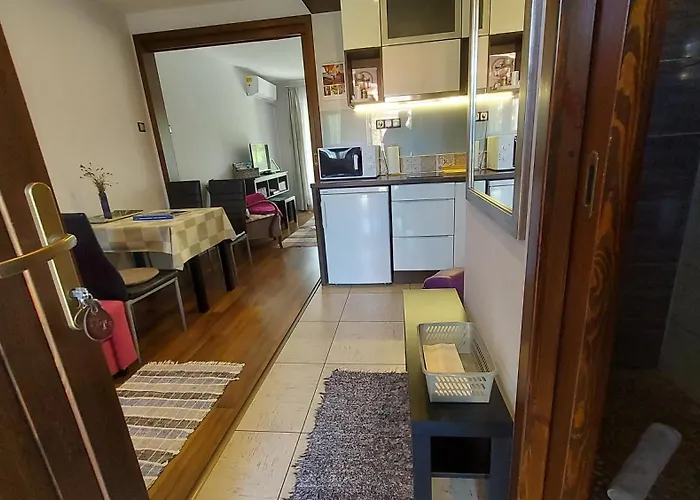 Dom wakacyjny Titi Boutique