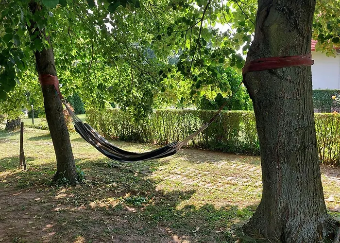 Dom wakacyjny Titi Boutique *